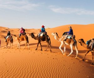 Morocco-Tours-trips-1140x530